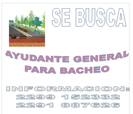 Imagen bolsa de trabajo